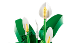 Конструктор LEGO Botanicals 11504 лего Спатифиллум, декоративный и реалистичный