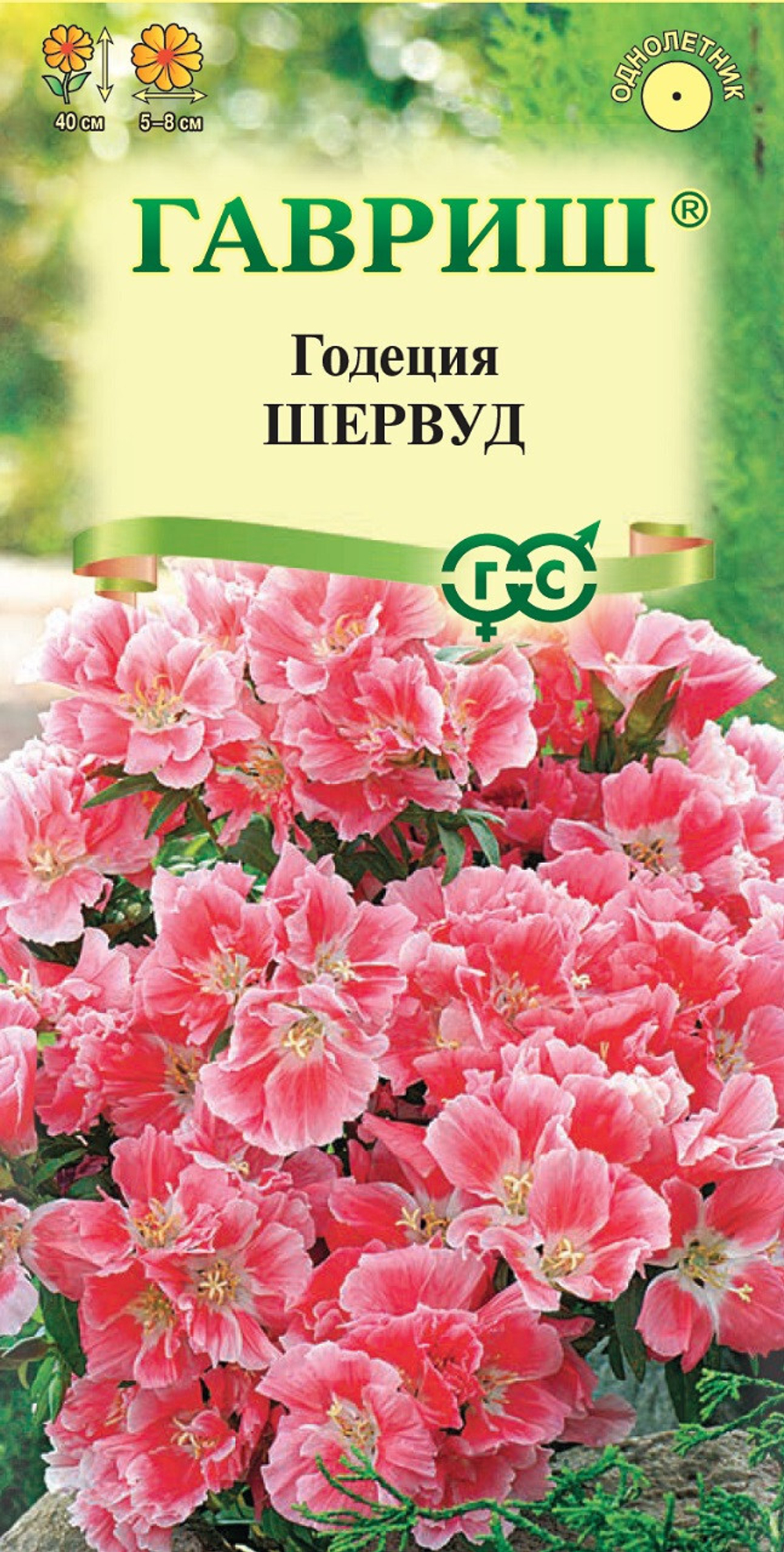 Годеция Шервуд