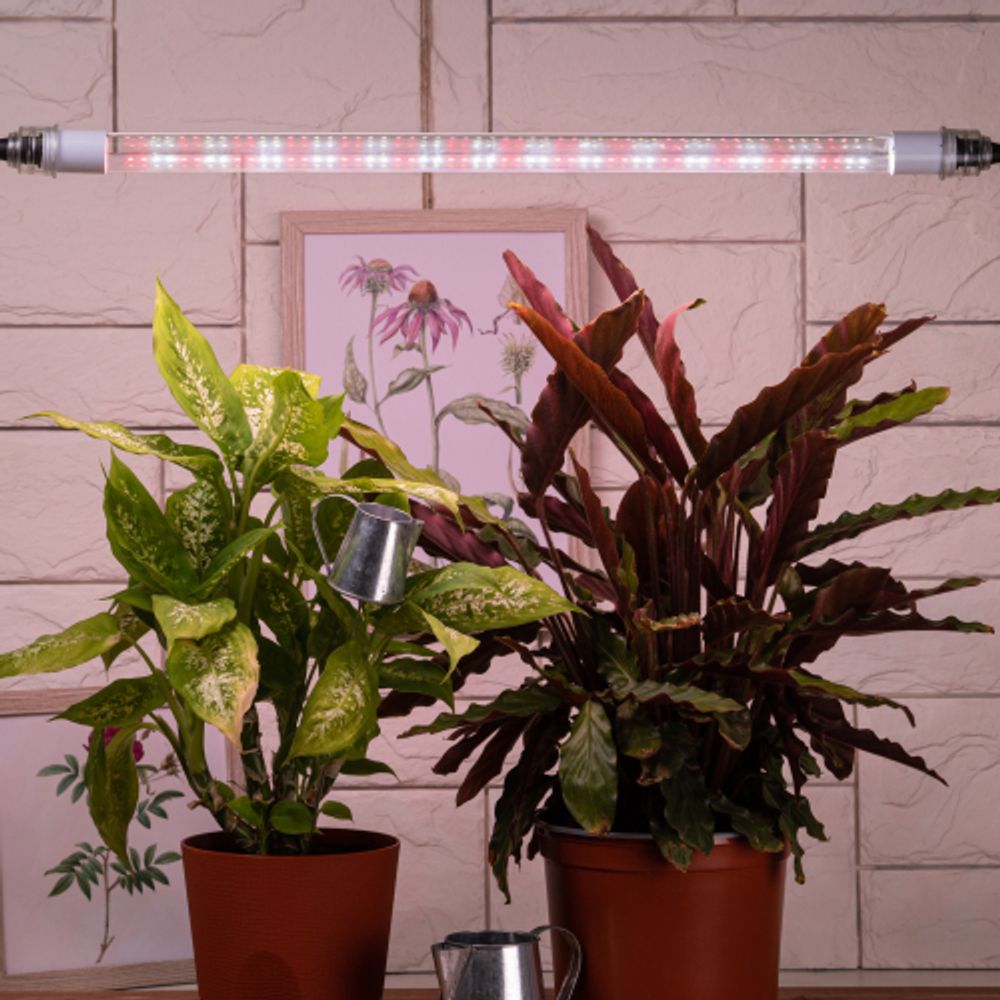 Фитолампа для растений светодиодная ЭРА FITO-9W-Ra90-Т8-G13-NL полного спектра 9 Вт Т8 G13