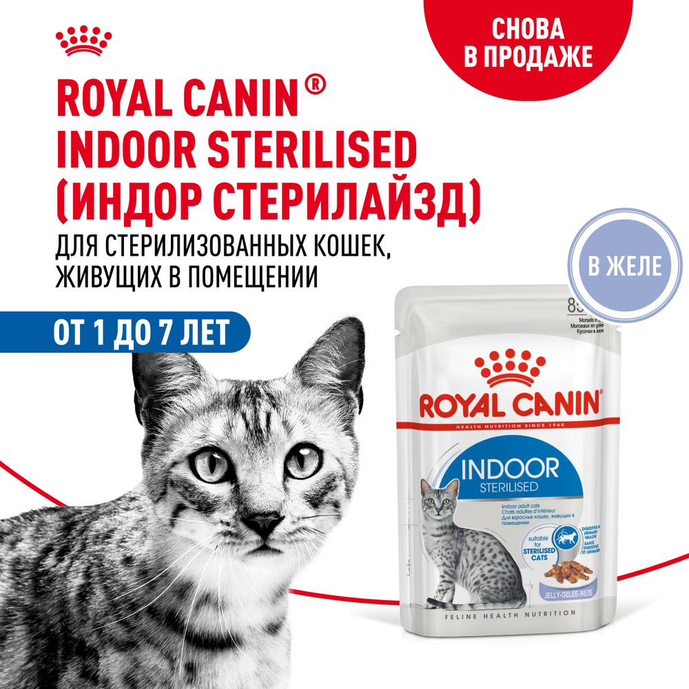 Royal Canin Indoor Sterilized Индор стерилайзд Корм влажный для стерилизованных кошек живущих в помещении желе 85г