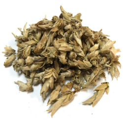 59203 Чай белый почки с пуэрных деревьев "Гушу Я бао"