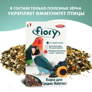 Корм для средних попугаев FIORY Parrocchetti African