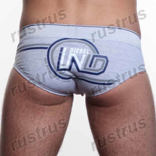 Мужские трусы брифы серые DIESEL DIS0092