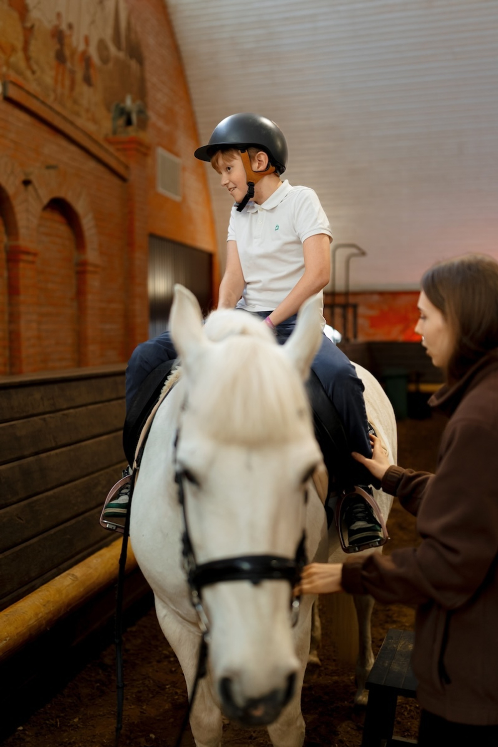 Horse Party