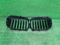 Решетка радиатора BMW X5 G05 (2023-н.в.)
