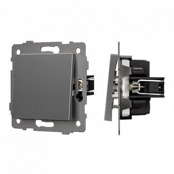 Механизм выключателя одноклавишный возвратная клавиша 049881 серый SWT-MKR1-PL-GR-V (250V, 10A) Arlight