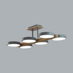 Потолочная светодиодная люстра Lumion PLATO 8031/108CL