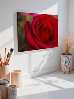 Картина на стену 40 X 50 Роза
