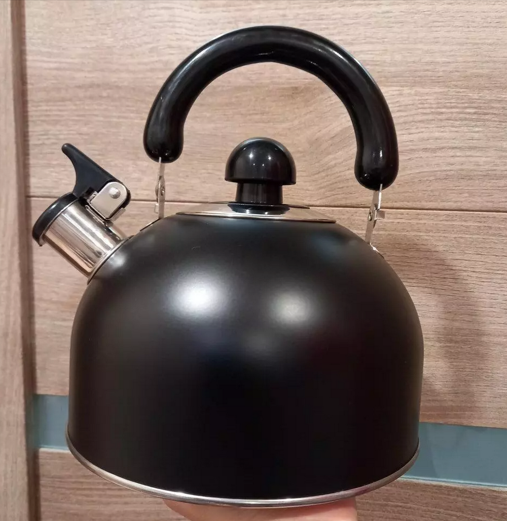 Чайник со свистком DANIKS GS-04001 для плит