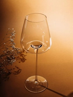 Бокал для вина на длинной ножке, 550 мл, 2 шт