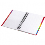 Тетрадь 120л., А5, клетка, Alingar, гребень, пластиковая обложка с инф. окнами, цветные пластиковые разделители, ассорти 4 цвета