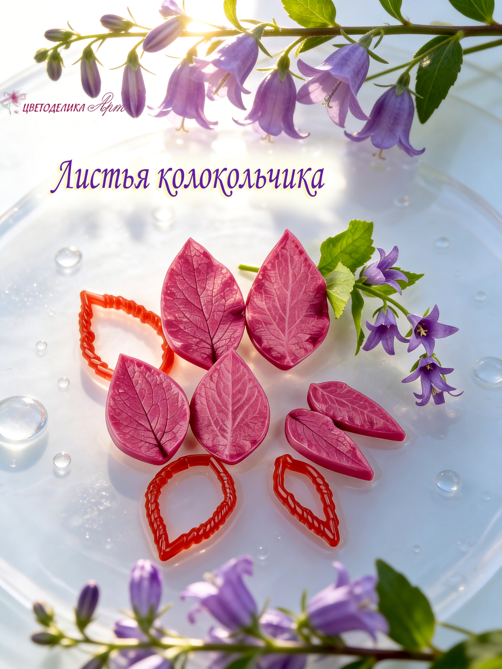 Листья колокольчика