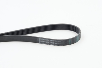 CONTINENTAL CTAM - 6PK1005-COT - V-ribbed Belt