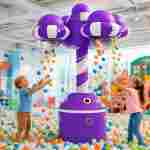 Шаропад для игровой комнаты «Пурпурный Вихрь», 2,2×2,2×2,6 м
