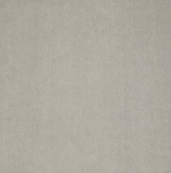 Микровелюр Бэст 05