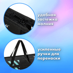 Папка для рисунков и чертежей с ручками BRAUBERG А3 пластик молния сверху "The Original" (2 штуки в упаковке)