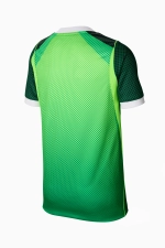 Футболка Nike Nigeria 2026 Home Stadium Junior - зеленый