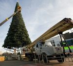 Уличная елка ствольная "Альпийская сосна" (леска) от 3 до 22 м