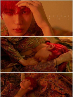 Альбом Vixx Leo - Canvas 1st Solo Mini Album