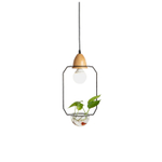 Pendant design lamp  Eco 2