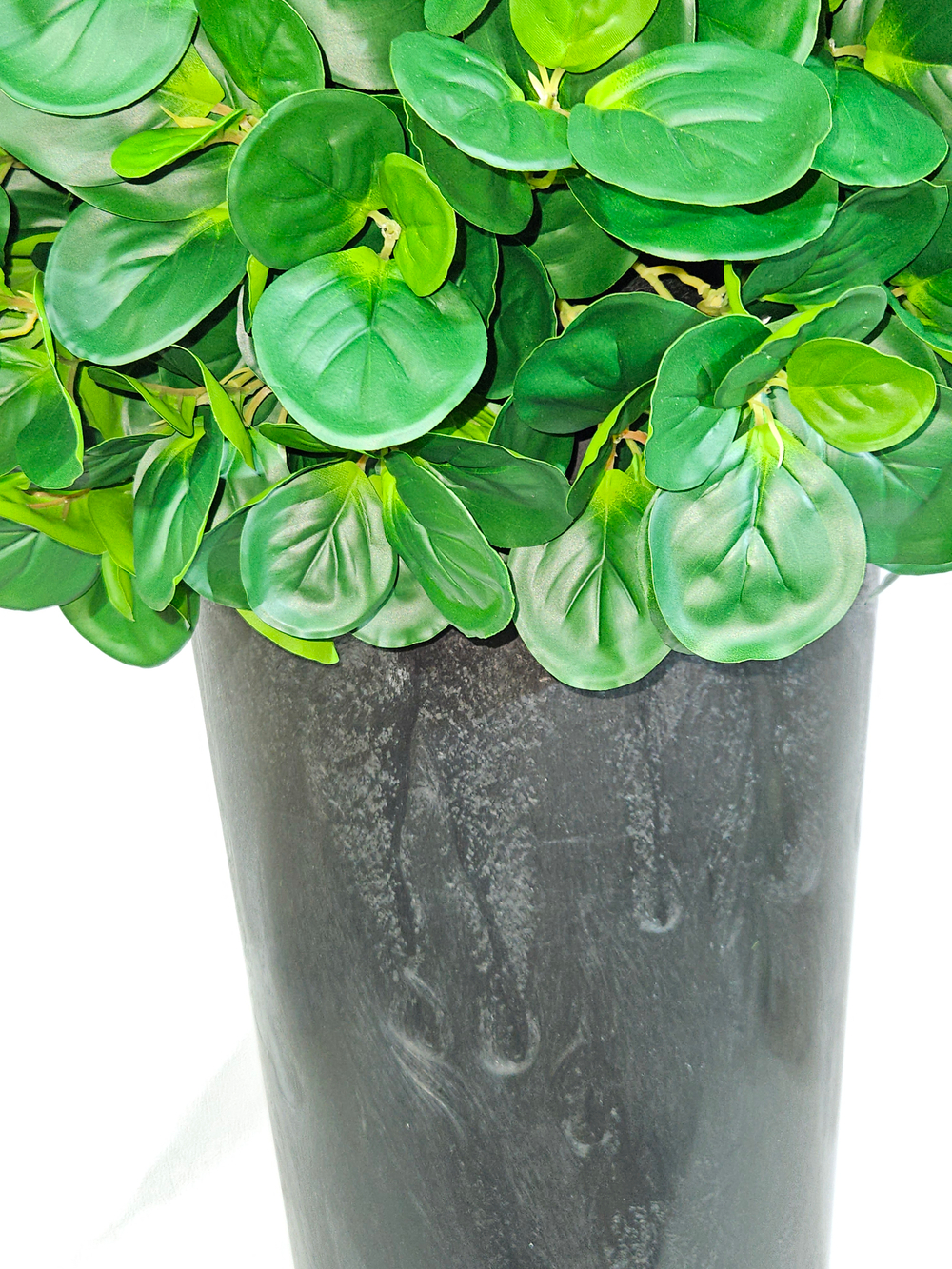 Пеперомия искусственная в высоком круглом кашпо