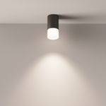 Потолочный светильник Technical C007CW-01B