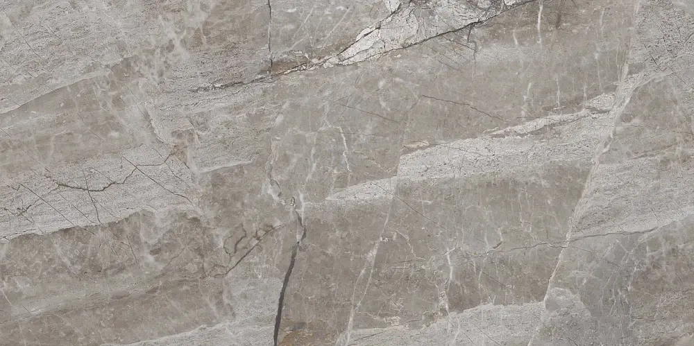 Керамогранит Primavera Essence Grey Polished 60x120 см (PR209)