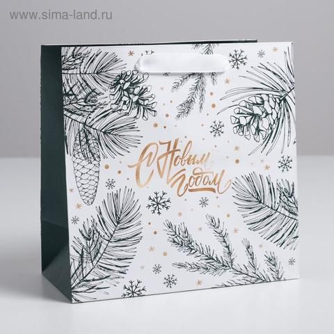 Пакет ламинированный квадратный «Еловые шишки», 22 × 22 × 11 см