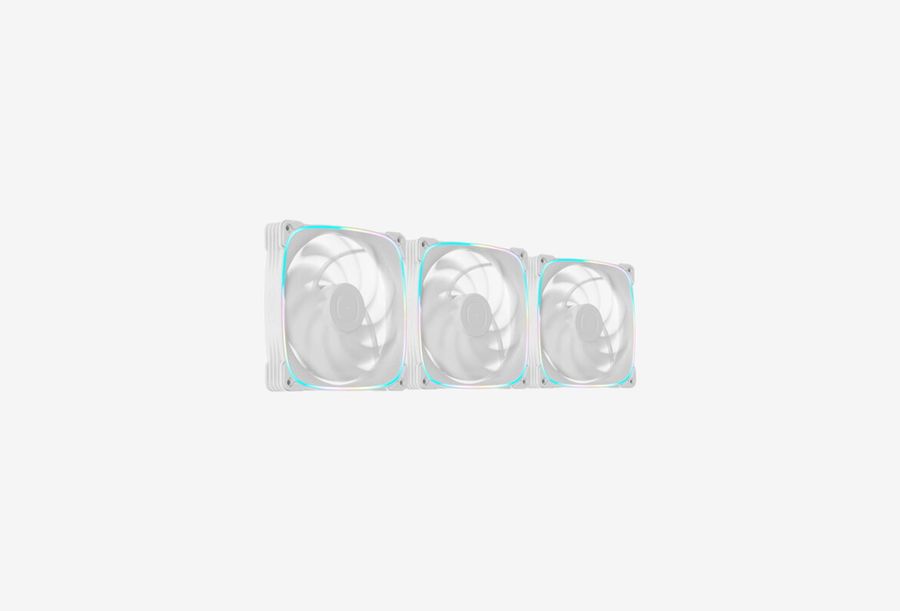 1F2503W314000_0226613102957