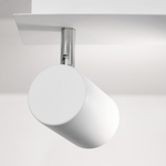 Светильник настенно-потолочный EVALO EL-3I W-SR