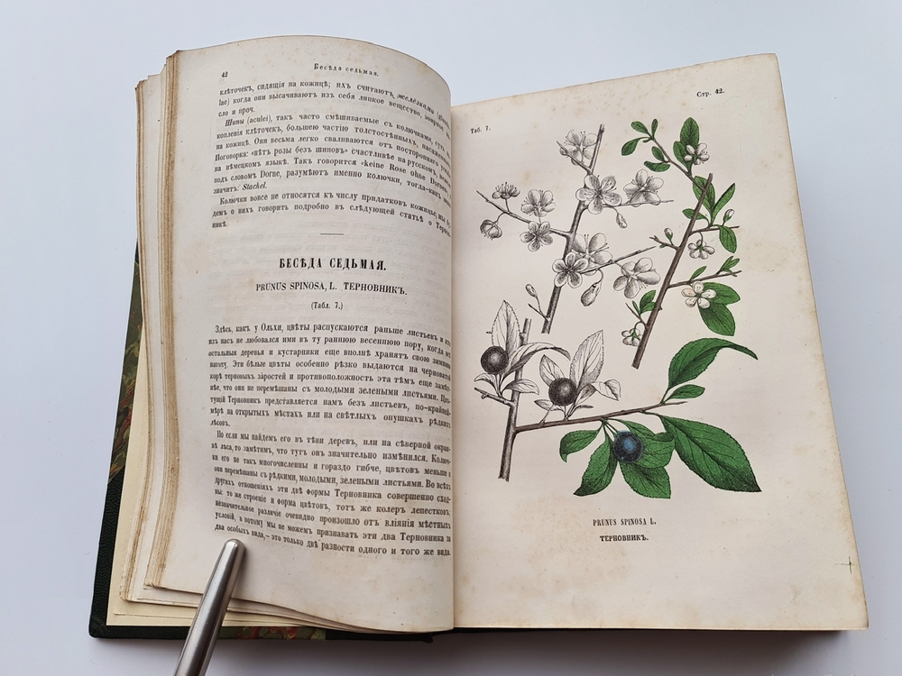 "Ботанические беседы". Б.Ауэрсвальд, Э.А.Россмесслер. 1860 г. - редкая книга