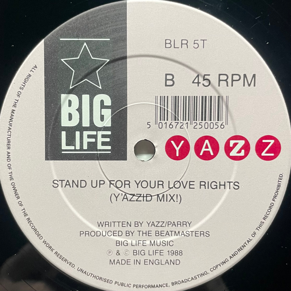 Yazz ‎– Stand Up For Your Love Rights (Англия 1988г.) 12", 45 RPM