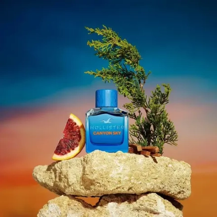 Мужская парфюмерия Hollister Canyon Sky EDT 100 мл