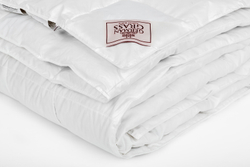 Одеяло всесезонное облегченное 200х200 German Grass Silver Down Grass