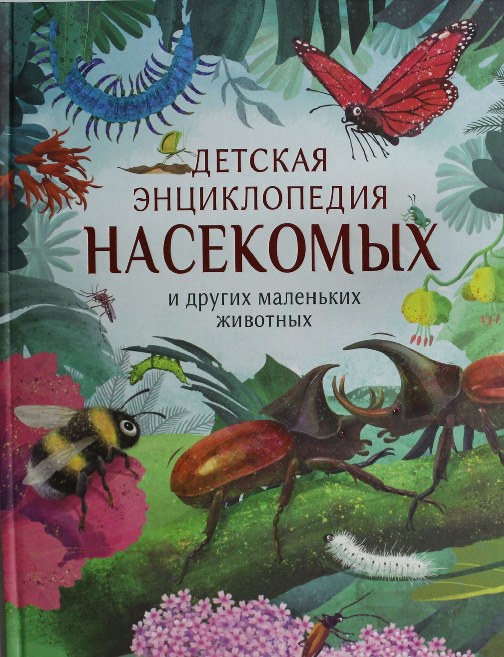 Детская энциклопедия насекомых