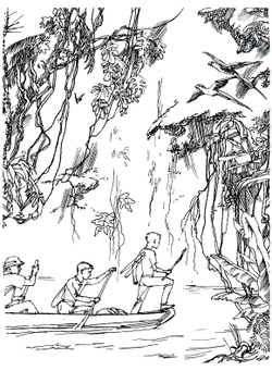 Большая охота. Книга знаний четвёртая | А.Б. Свирин