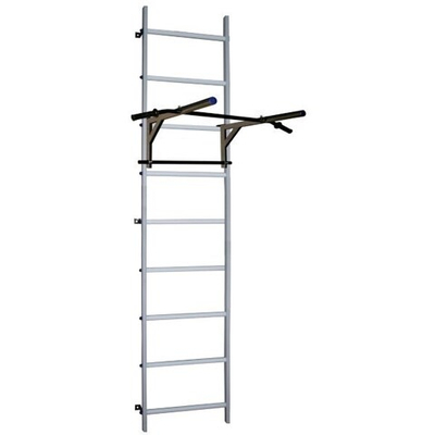 Детский спортивный комплекс ДСК ЛБТ Турник-брусья 450 мм Цветные перекладины