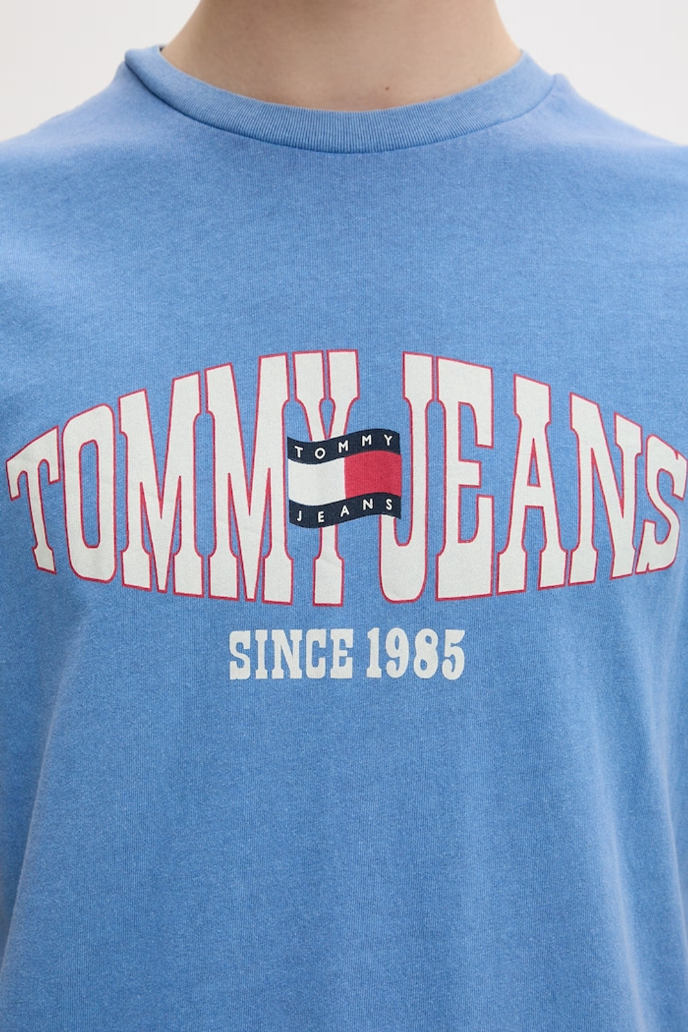 Футболка мужская TOMMY JEANS TJM REG LA WAVING FL