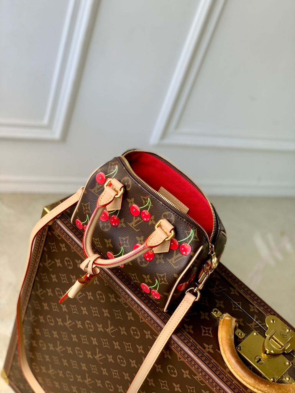 Louis Vuitton Speedy 20