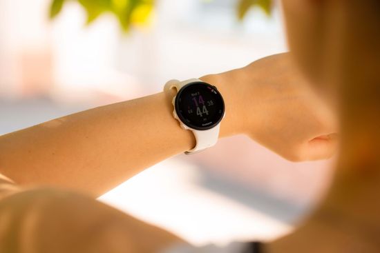 Беговые GPS часы Garmin Forerunner 45S (белые) 010-02156-10