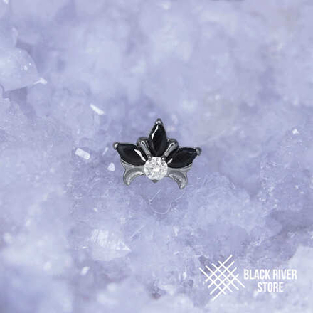 Royal Lily Black