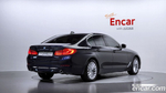 BMW 5 Series (G30) 530i Luxury Plus (05.2020)