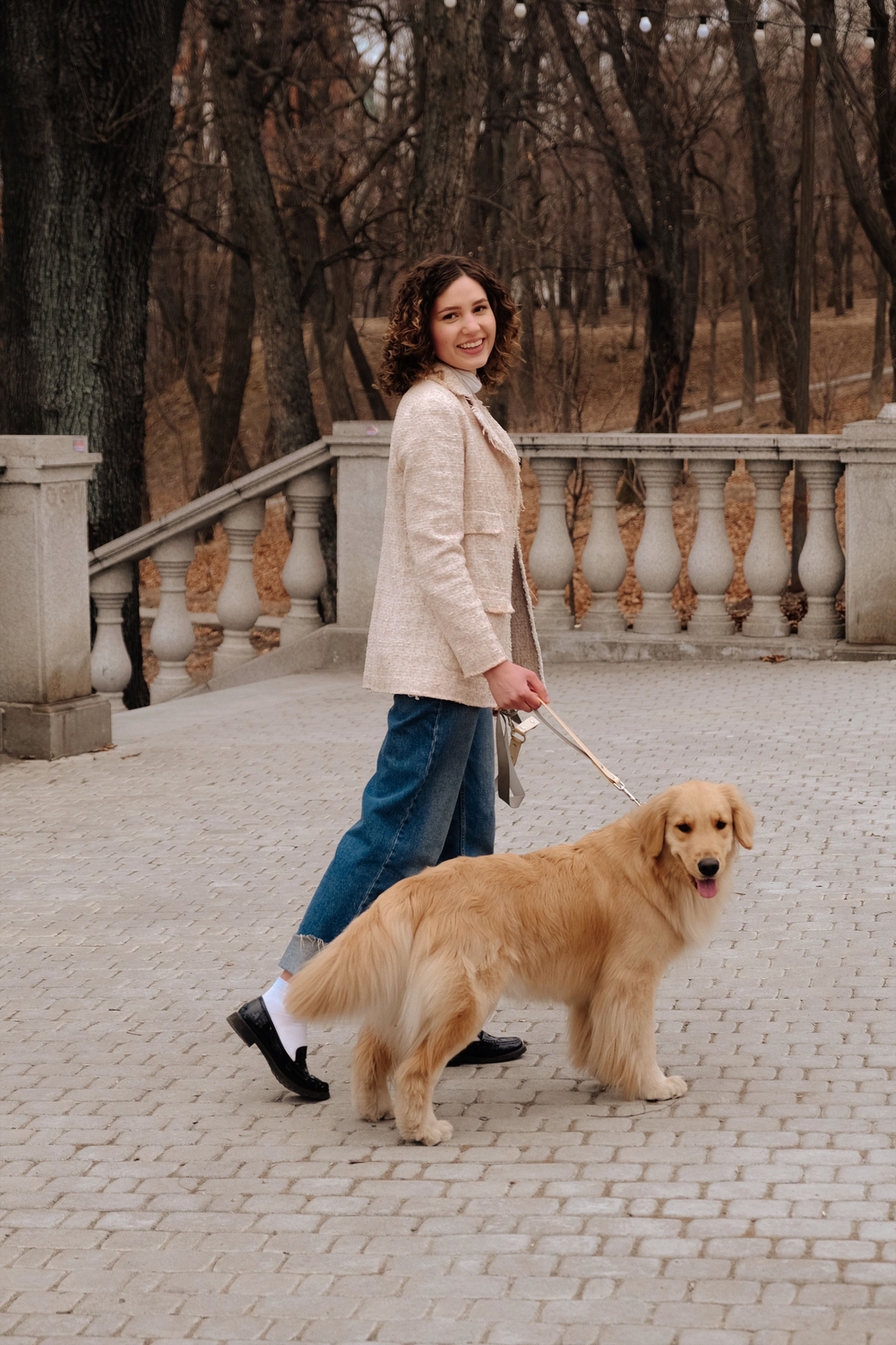 Перестёжка для собак , с ручкой перехват биотан 7 м , 25 мм. Серый и шимер блестящий золотой