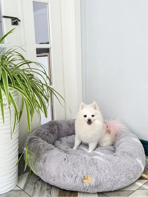 Лежанка для кошек и собак