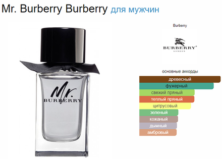 Burberry Mr. Burberry edt 100ml (duty free парфюмерия)