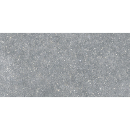 Exagres - Ardenas Gris - напольная плитка, C3/R12 Anti-slip, 665x330 мм