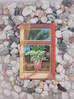 Значок Аглаонема Баттерфляй