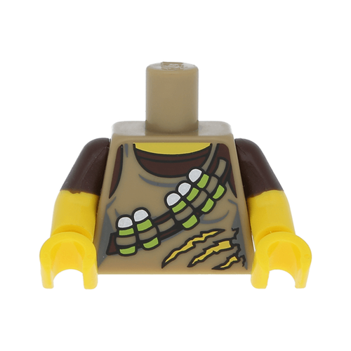 Торс от Охотника на Динозавров 973pb1776c01