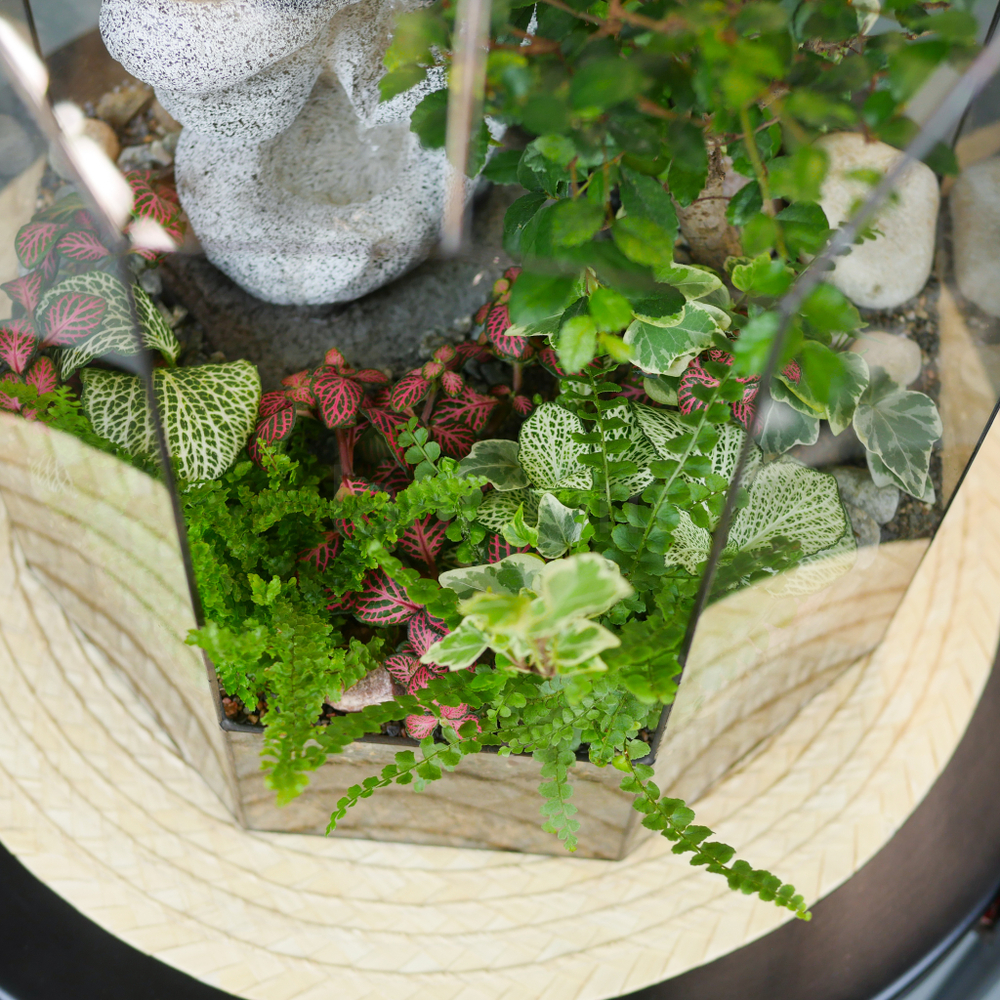 Готовый флорариум Ботанический сад с бонсай XL с водопадом