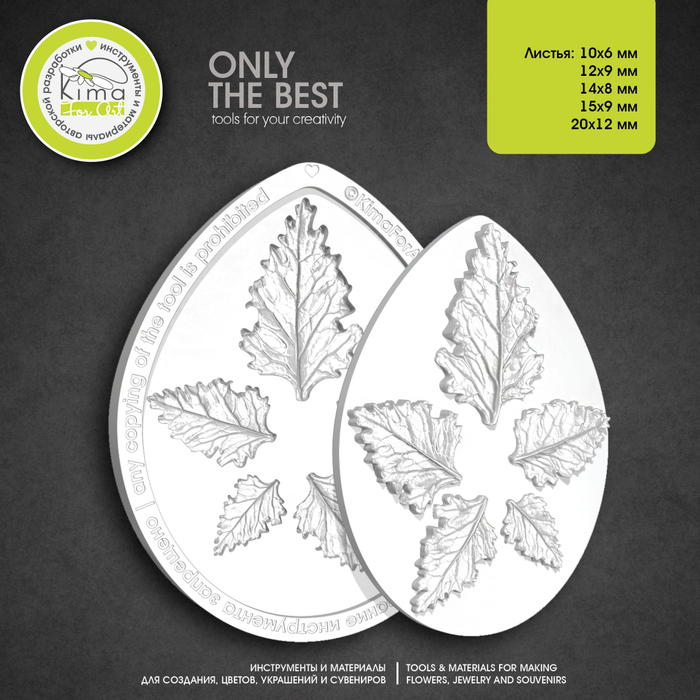 Цинерария MINI | MICRO